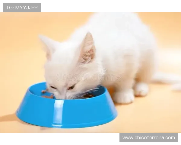 博天堂官网登录入口网页版正式上线,开启全新在线娱乐体验 博天堂官网登录入口网页版正式上线,开启全新在线娱乐体验