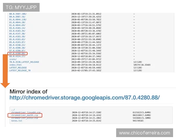 博鱼app官方入口电脑版操作指南，轻松掌握登录注册与账号管理技巧